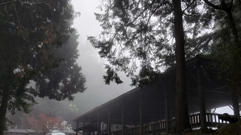 點我看大圖 【遊記】夸父逐日想跑贏太陽,大漠逐日是想看日出,阿里山國家森林遊樂區 (祝山線) - 大漠國渡