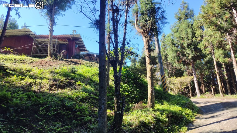100分森林浴感 | 人潮稀少路線 | 新竹五峰 | 民都有山-面托油山
