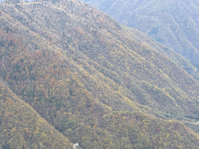 2024日本獨旅/10月下旬/關東+中部(下集)