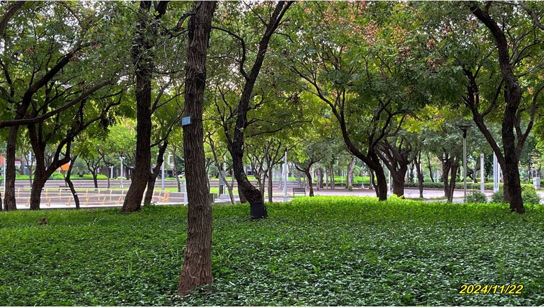 (實打實) 請AI助理幫忙寫的遊記