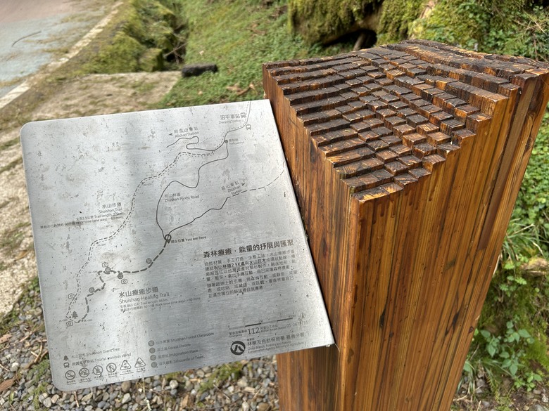 阿里山森遊健行「水山療癒步道、台灣難抵極」