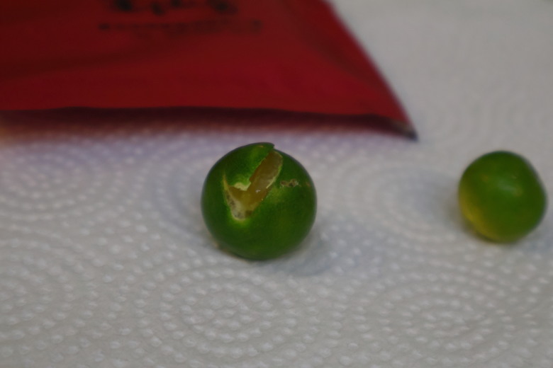 【都市小廚】寒冷的冬季，來杯溫暖的飲品，金桔紅茶 - 大漠國渡