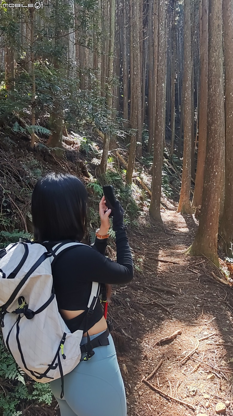 100分森林浴感 | 人潮稀少路線 | 新竹五峰 | 民都有山-面托油山