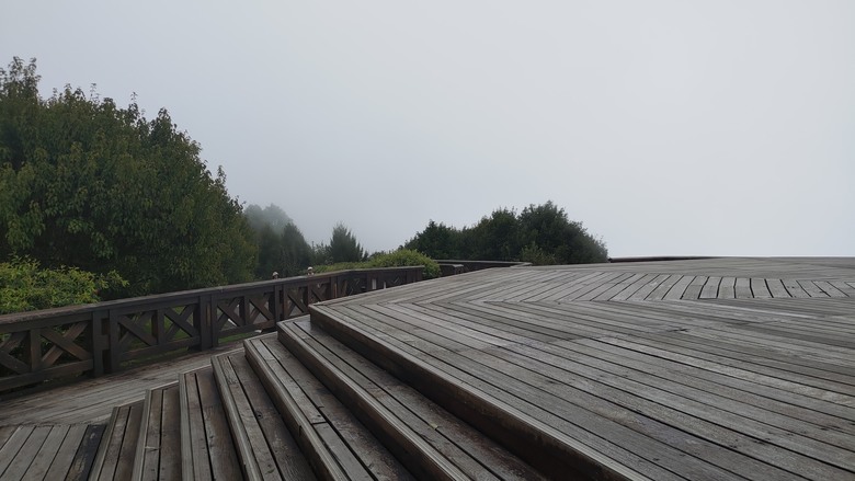 點我看大圖 【遊記】夸父逐日想跑贏太陽,大漠逐日是想看日出,阿里山國家森林遊樂區 (祝山線) - 大漠國渡