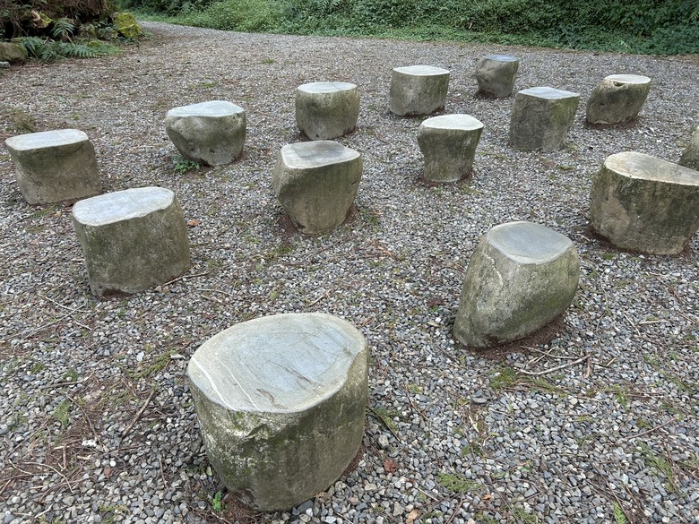 阿里山森遊健行「水山療癒步道、台灣難抵極」
