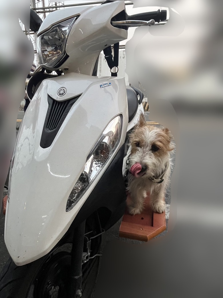 大家人生的第一台車?順提Jog過往歷史