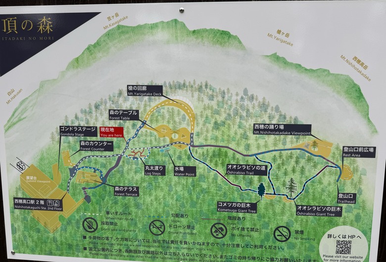 2024日本獨旅/10月下旬/關東+中部(下集)