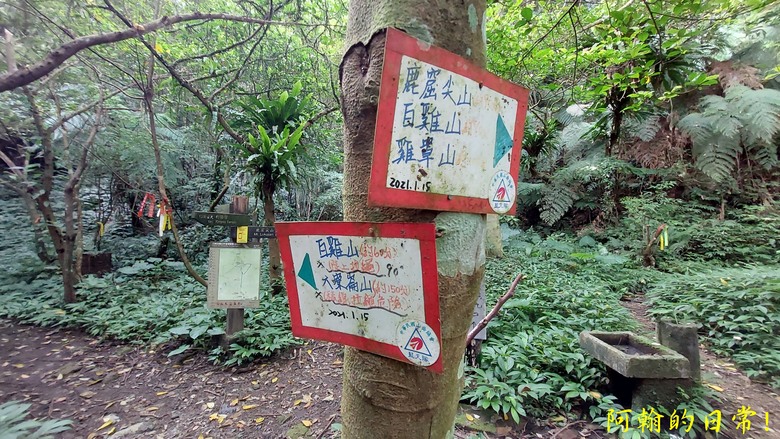 【郊山走走】白雞山、雞罩山、鹿窟尖｜白雞三山縱走