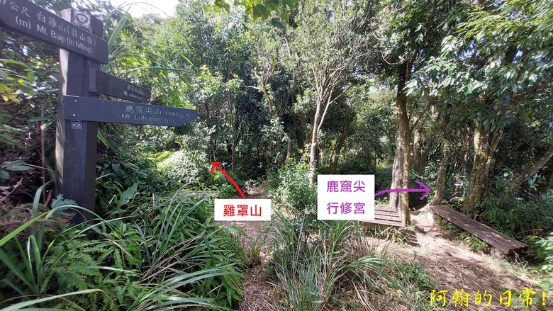 【郊山走走】白雞山、雞罩山、鹿窟尖｜白雞三山縱走