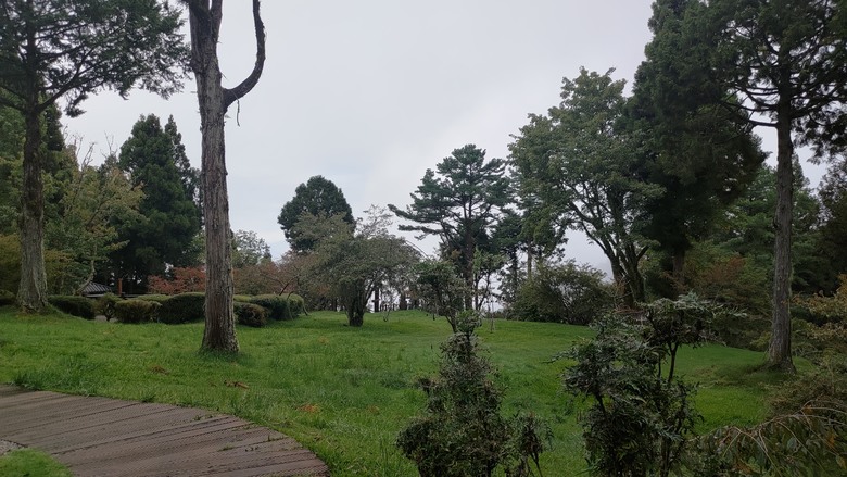 點我看大圖 【遊記】夸父逐日想跑贏太陽,大漠逐日是想看日出,阿里山國家森林遊樂區 (祝山線) - 大漠國渡
