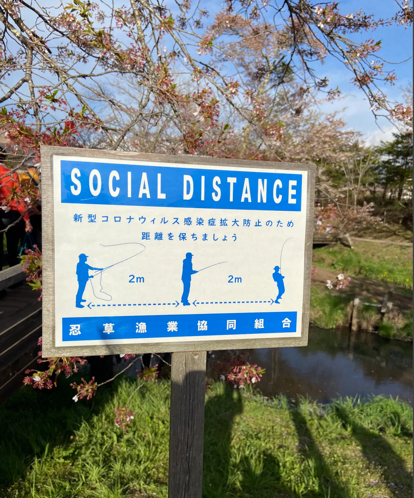 點我看大圖 關於日本釣旅這件小事 - 旅遊劇本的設定