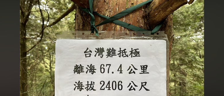 阿里山森遊健行「水山療癒步道、台灣難抵極」