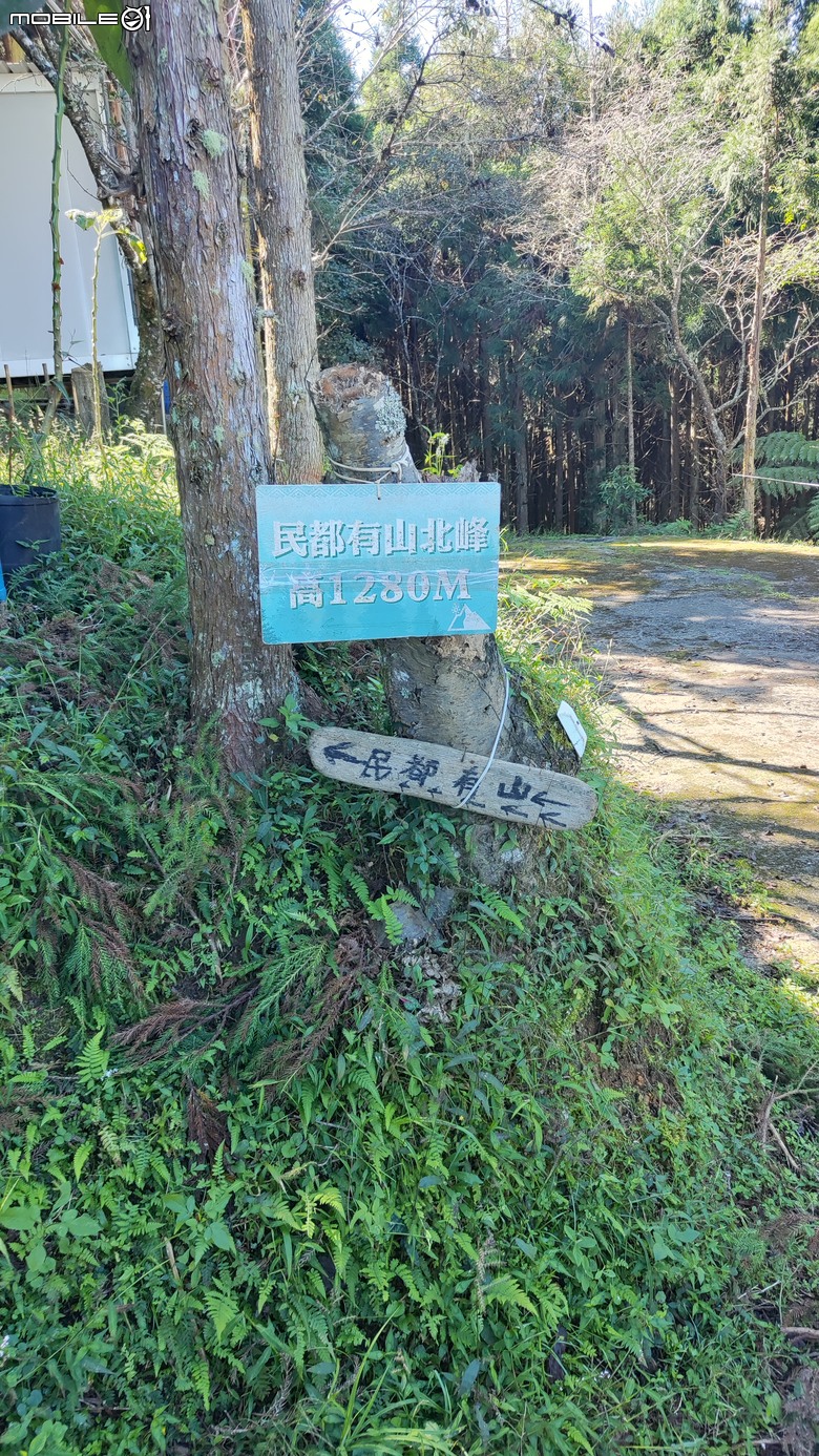100分森林浴感 | 人潮稀少路線 | 新竹五峰 | 民都有山-面托油山