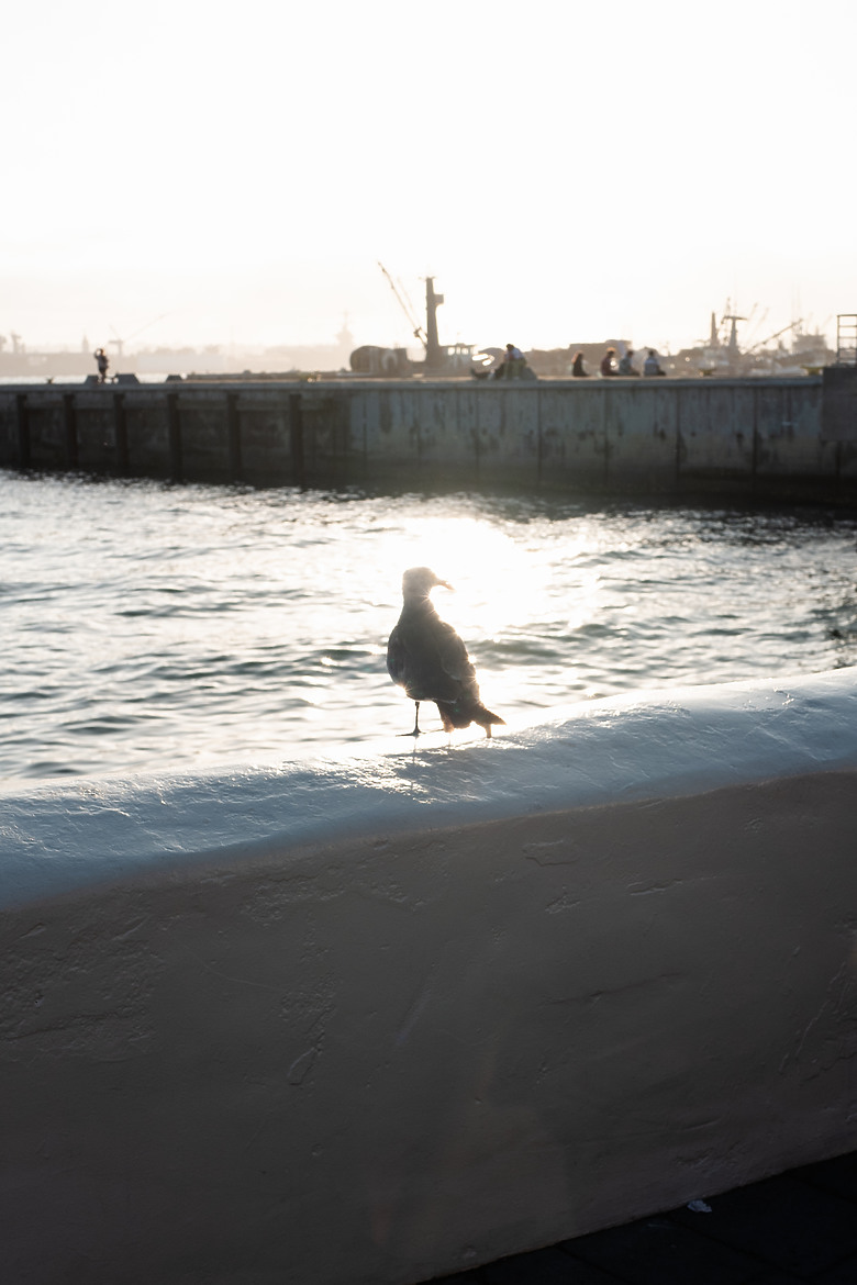 [分享] 2500公里長征 美西15日自由行 — Leica Q