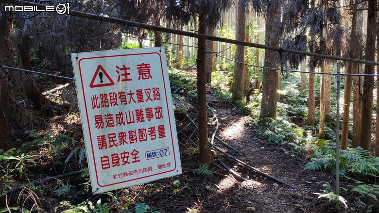 100分森林浴感 | 人潮稀少路線 | 新竹五峰 | 民都有山-面托油山