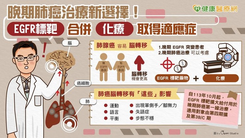 晚期肺癌治療新選擇！ EGFR標靶合併化療取得適應症