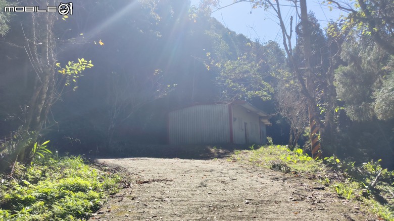 100分森林浴感 | 人潮稀少路線 | 新竹五峰 | 民都有山-面托油山