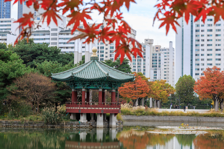首爾五日趴趴走(R5II+R8)