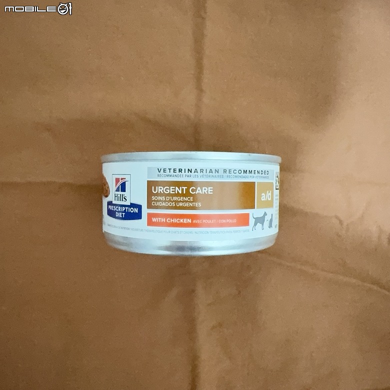 貓裝鼻餵管（鼻胃管）經驗分享