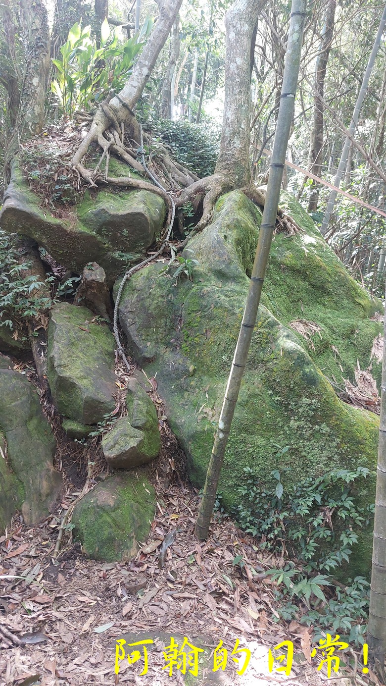 【郊山走走】白雞山、雞罩山、鹿窟尖｜白雞三山縱走