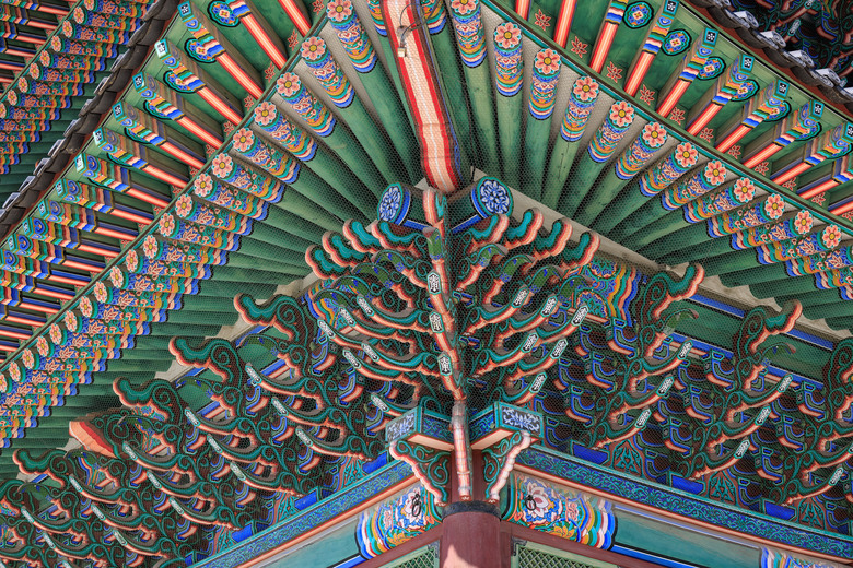 首爾五日趴趴走(R5II+R8)