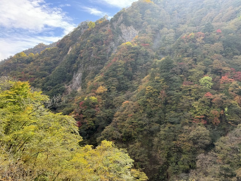 2024日本獨旅/10月下旬/關東+中部(上集)