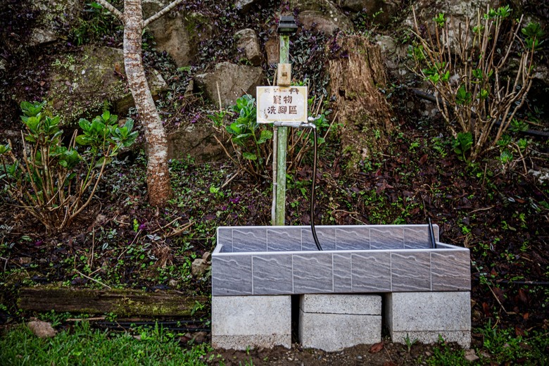 白蘭部落泰雅文化原民體驗 山林療癒小旅行 蟬說：霧繞