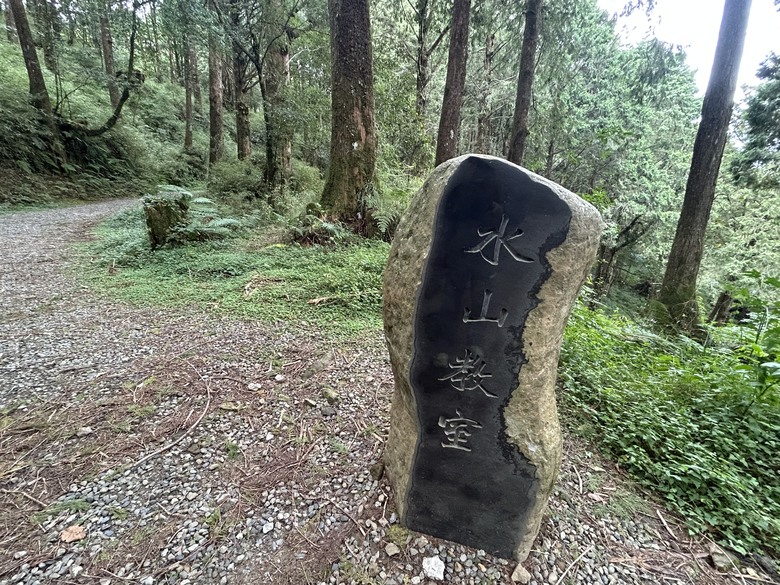阿里山森遊健行「水山療癒步道、台灣難抵極」