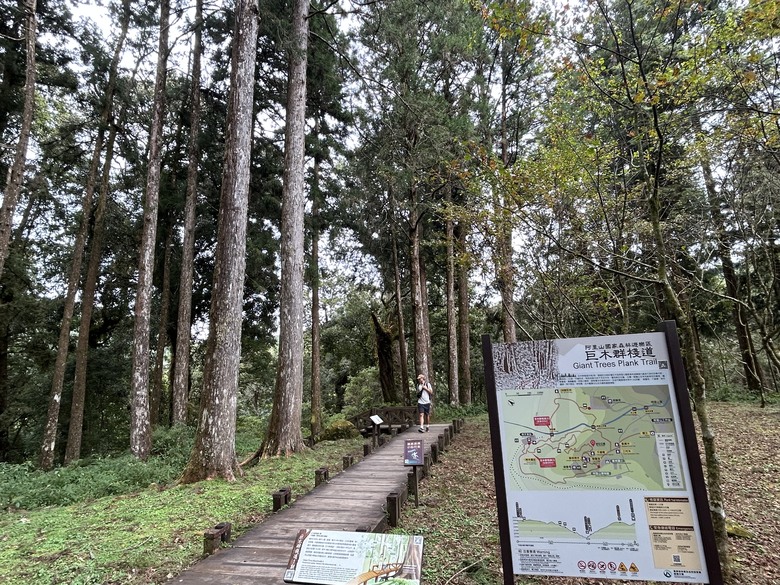 阿里山森遊漫步走(下)有夠遠的部落-里佳