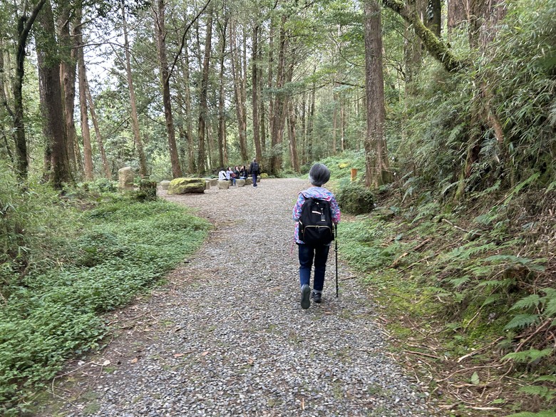 阿里山森遊健行「水山療癒步道、台灣難抵極」