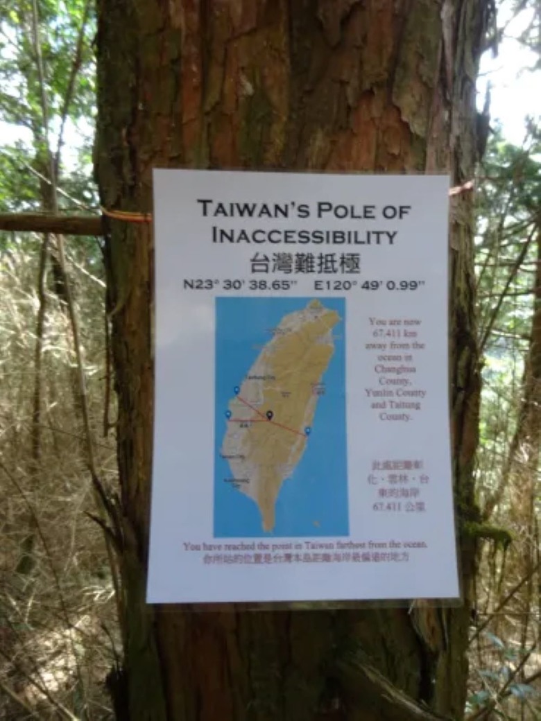阿里山森遊健行「水山療癒步道、台灣難抵極」