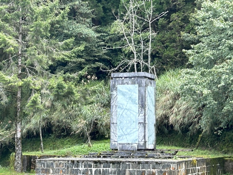阿里山森遊健行「水山療癒步道、台灣難抵極」
