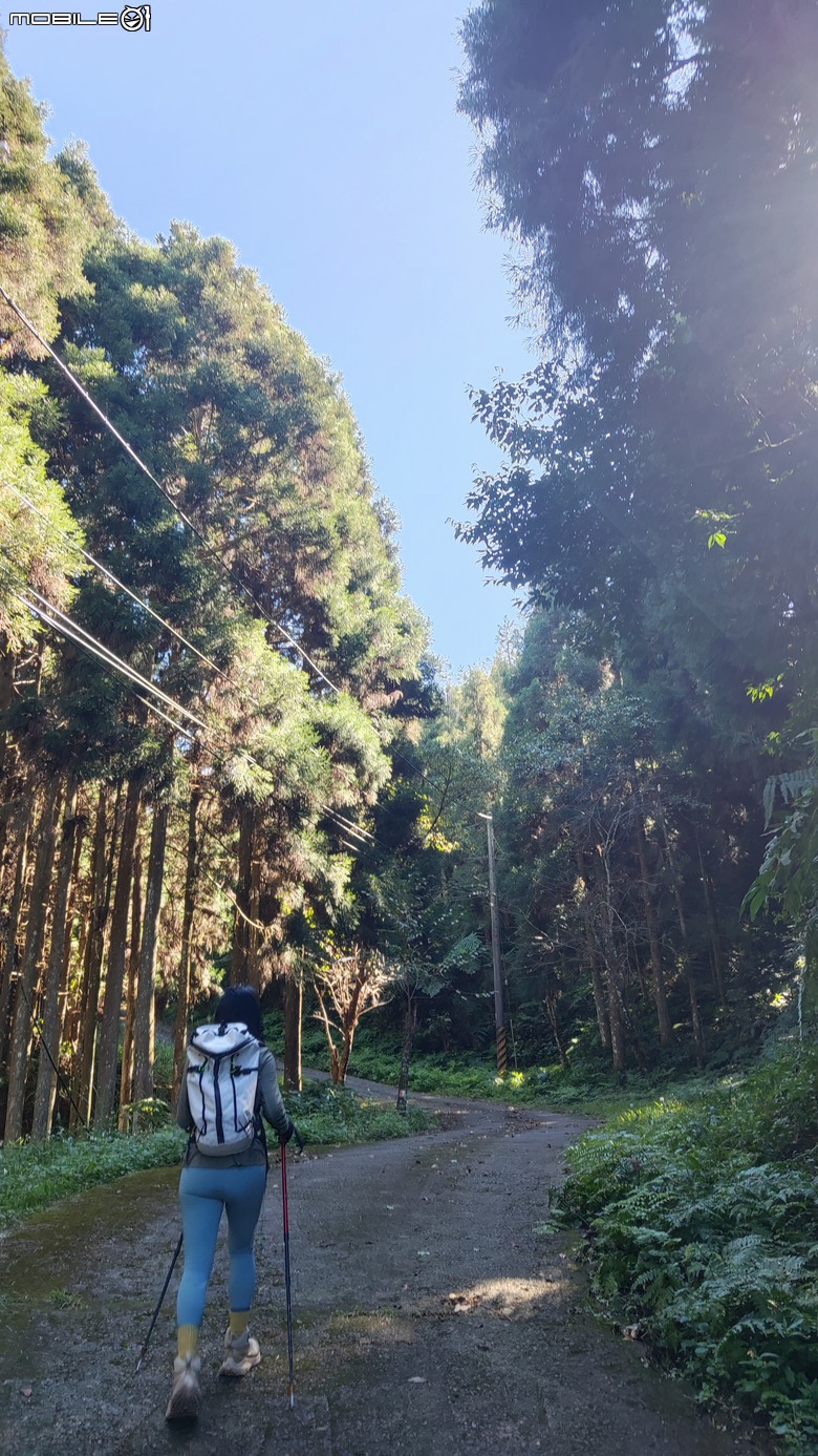 100分森林浴感 | 人潮稀少路線 | 新竹五峰 | 民都有山-面托油山