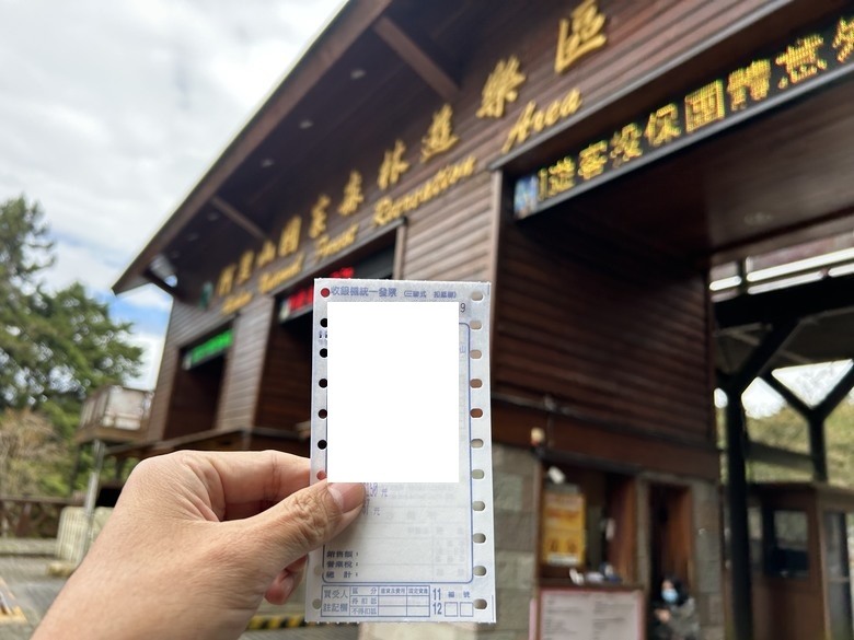 阿里山森遊健行「水山療癒步道、台灣難抵極」
