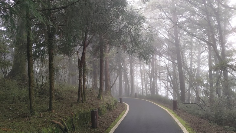 點我看大圖 【遊記】夸父逐日想跑贏太陽,大漠逐日是想看日出,阿里山國家森林遊樂區 (祝山線) - 大漠國渡