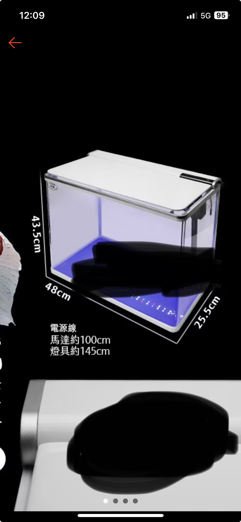 求各位有養血鸚鵡魚高手解決問題