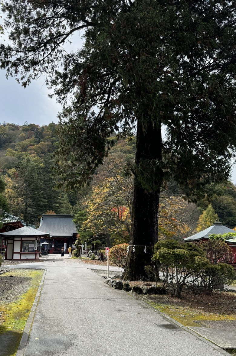 2024日本獨旅/10月下旬/關東+中部(上集)