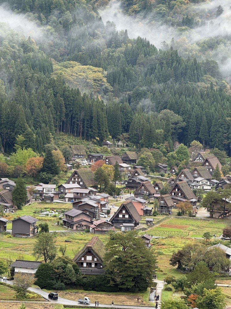 2024日本獨旅/10月下旬/關東+中部(下集)