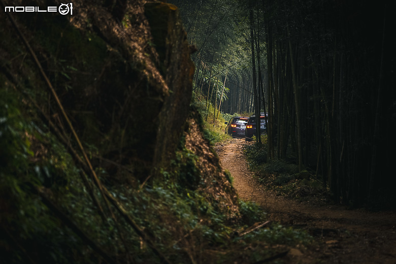 跟著Discovery家族前往南投竹山秘境|一趟貨真價實的探險,玩得是體驗也是風格!