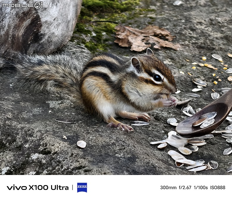 點我看大圖 Vivo X200 Pro 旗艦兄弟機 – Vivo X100 Ultra 使用心得分享,日本北海道旅遊景點實拍