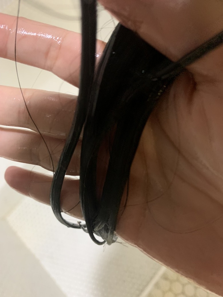 開箱 施華蔻護髮組合