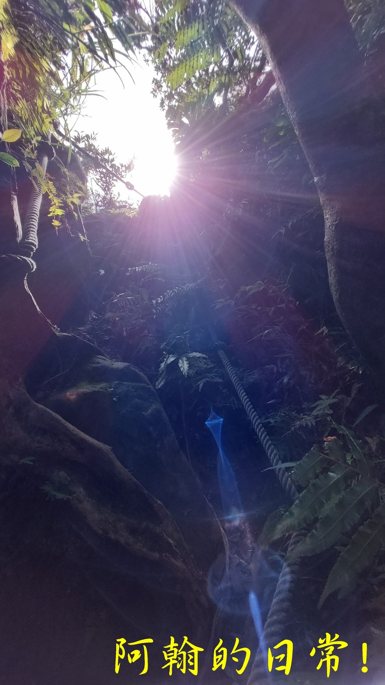 【郊山走走】白雞山、雞罩山、鹿窟尖｜白雞三山縱走