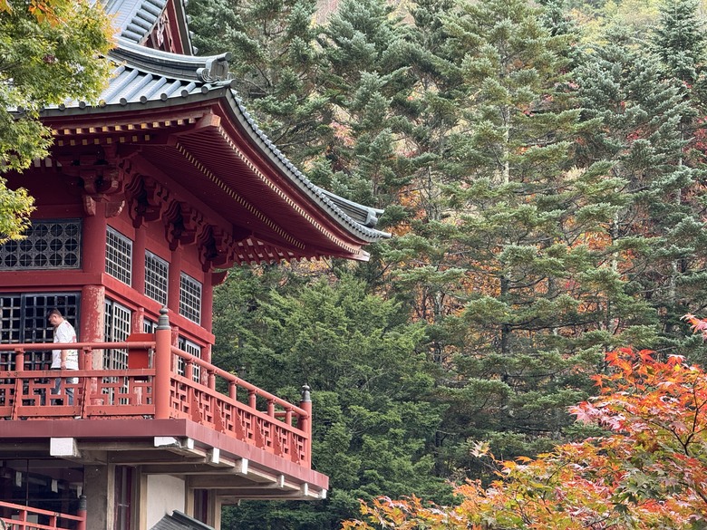 2024日本獨旅/10月下旬/關東+中部(上集)