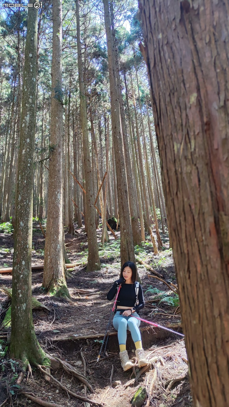 100分森林浴感 | 人潮稀少路線 | 新竹五峰 | 民都有山-面托油山