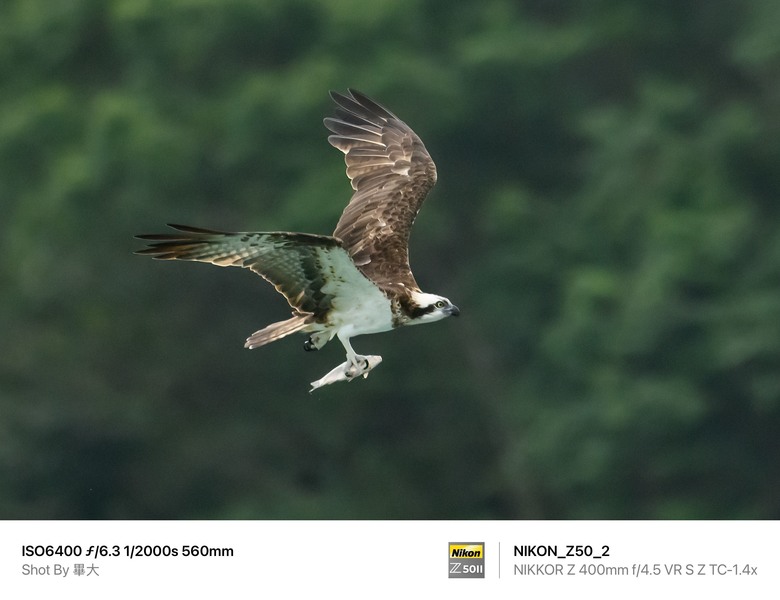 尼康NIKON Z50II二代新機評測