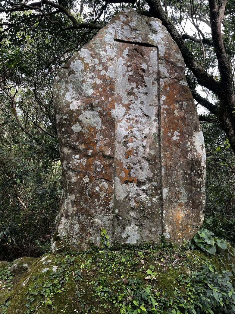 火燒山、向天山、面天山、面天池、山仔頂古道o型