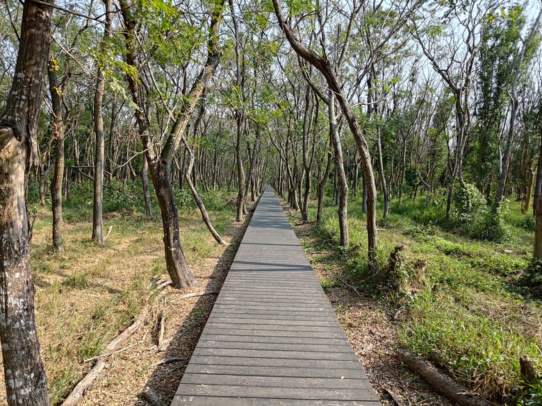 【遊記】第二章，彰化有個不輸「臺北大安森林公園」的公園，溪州公園 (森林區) - 大漠國渡