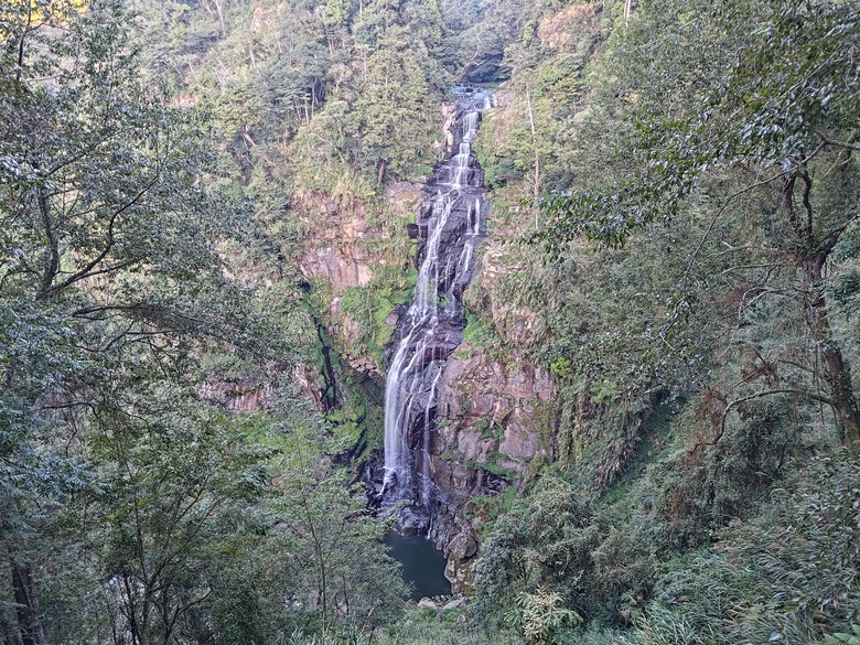 點我看大圖 【遊記】一天欣賞不完的「森林美景」,住宿是更好的選擇,杉林溪森林生態渡假園區 - 大漠國渡