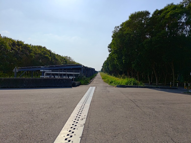 【遊記】第二章，彰化有個不輸「臺北大安森林公園」的公園，溪州公園 (森林區) - 大漠國渡