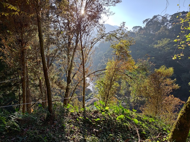 點我看大圖 【遊記】一天欣賞不完的「森林美景」,住宿是更好的選擇,杉林溪森林生態渡假園區 - 大漠國渡